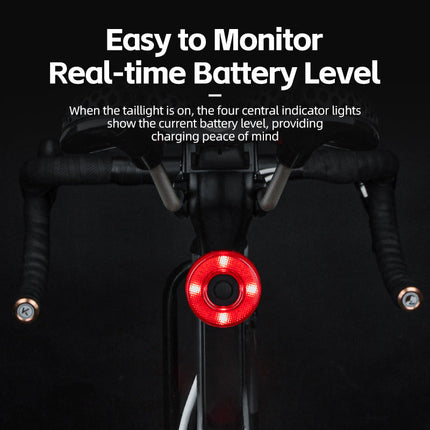 173Luz Trasera de Bicicleta inteligente con frenado automático, USB-C e IPX7