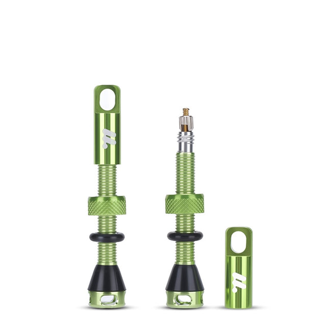 Komplet aluminijastih ventilov Presta za tubeless pnevmatike WEST BIKING