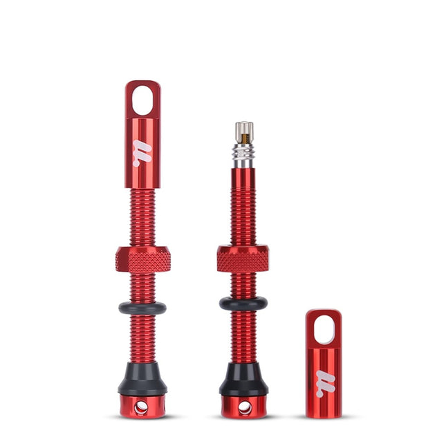 Komplet aluminijastih ventilov Presta za tubeless pnevmatike WEST BIKING