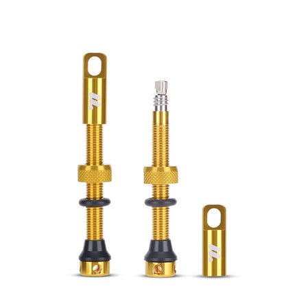 Kit di valvole tubeless Presta in alluminio WEST BIKING