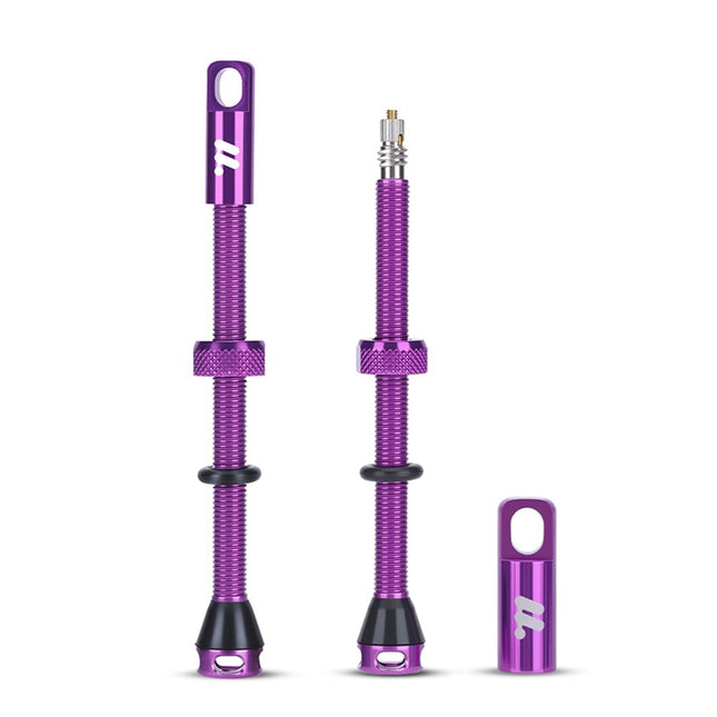 Komplet aluminijastih ventilov Presta za tubeless pnevmatike WEST BIKING