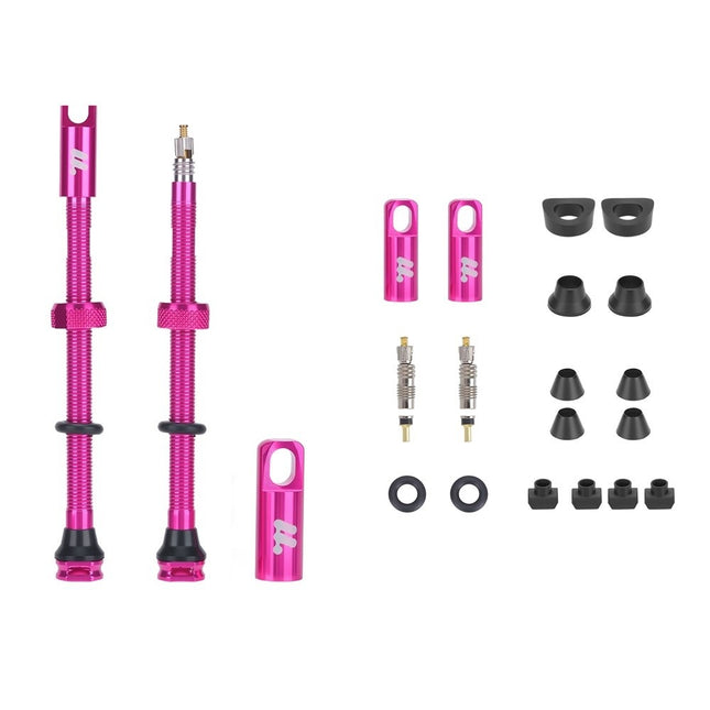 Komplet aluminijastih ventilov Presta za tubeless pnevmatike WEST BIKING