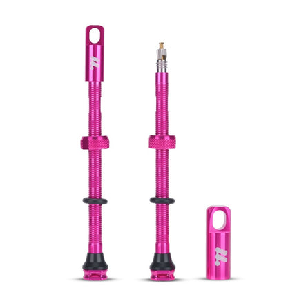 Kit di valvole tubeless Presta in alluminio WEST BIKING