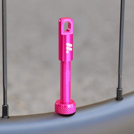 Kit di valvole tubeless Presta in alluminio WEST BIKING