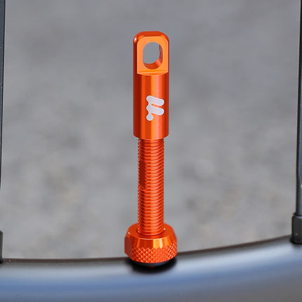 Komplet aluminijastih ventilov Presta za tubeless pnevmatike WEST BIKING