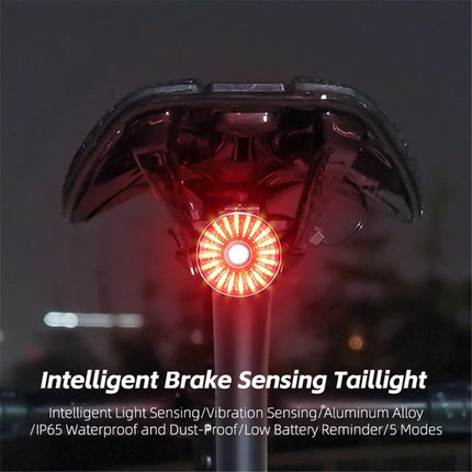 1669Luz trasera inteligente para bicicleta, sensor de freno - Rojo / Plano